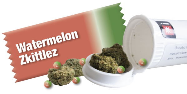 Navigation to Story: Strain of the Month: Watermelon Zkittlez